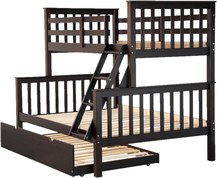 Pamplin Twin Over Full Solid Wood Standard Bunk Bed by Harriet Bee