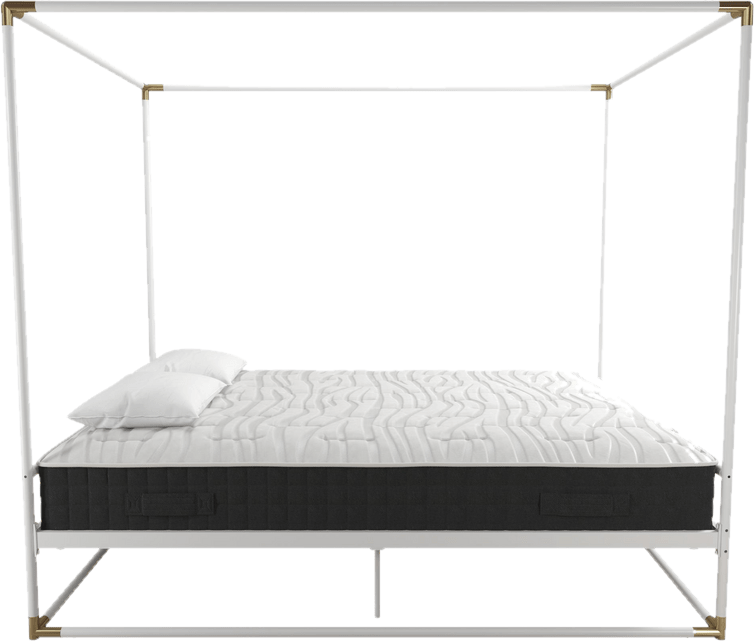 Celeste Canopy Bed