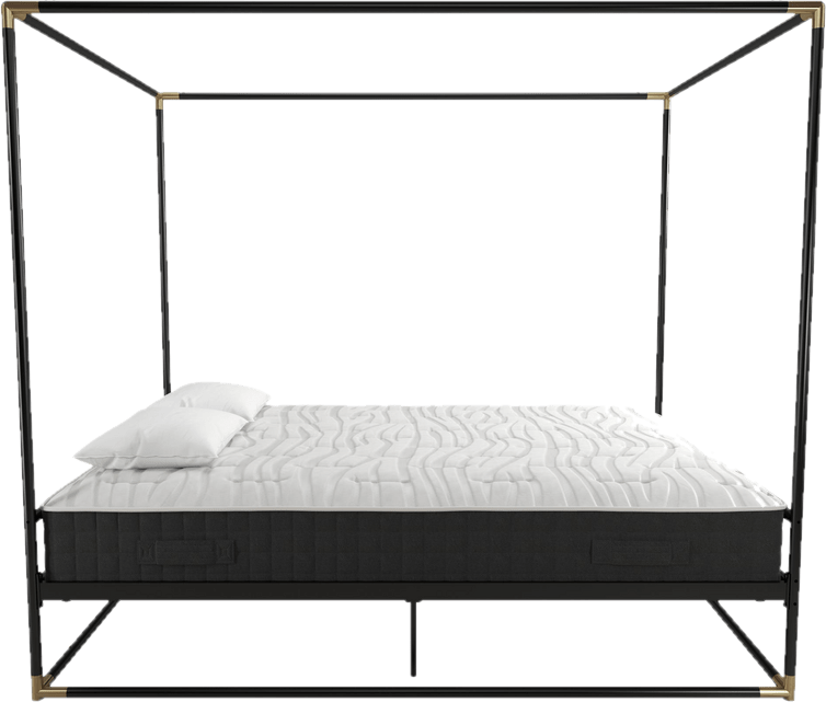 Celeste Canopy Bed