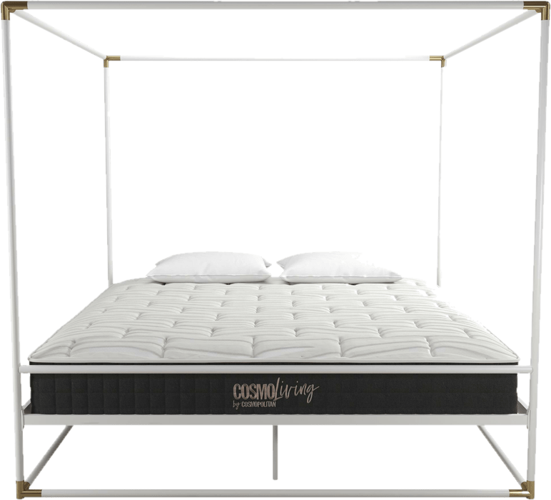 Celeste Canopy Bed