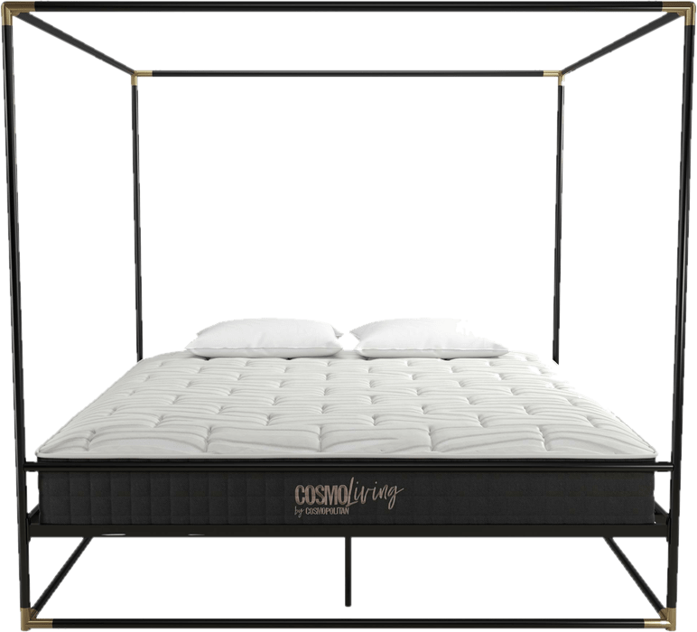 Celeste Canopy Bed