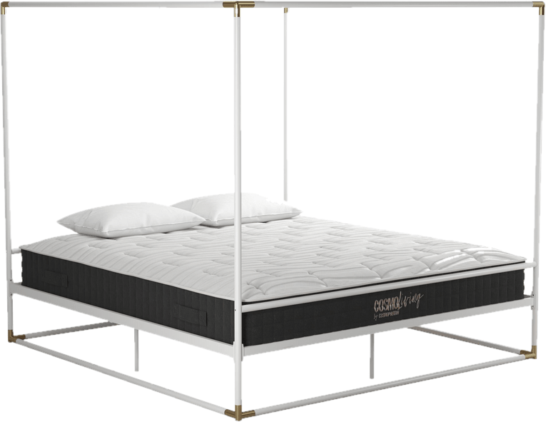 Celeste Canopy Bed