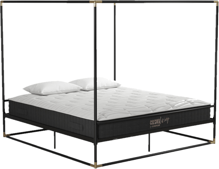 Celeste Canopy Bed