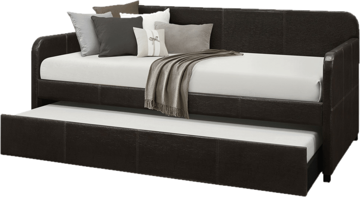 Plunkett Twin Daybed with Trundle